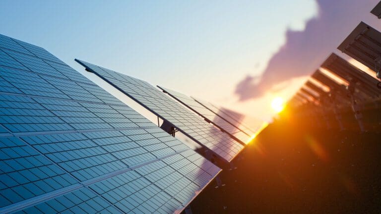 A sunset with solar panels layed out.