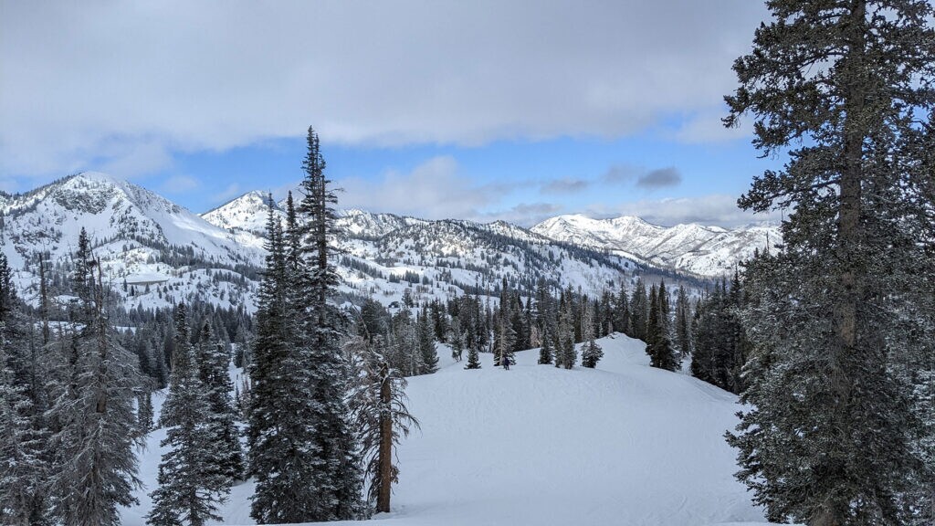 We Launch Brands, People, and Purpose