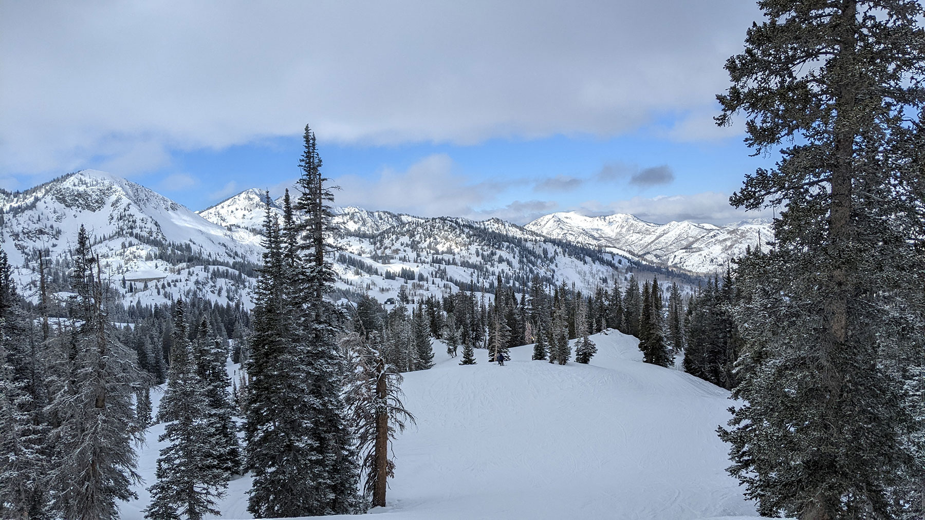 We Launch Brands, People, and Purpose